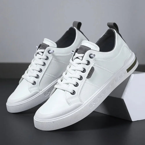 BELNOR TRAINERS